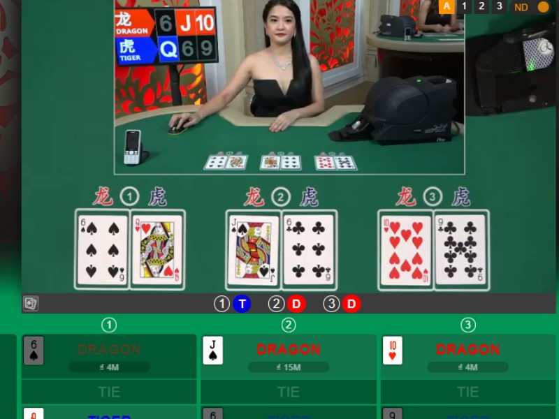 Cược số tiền tối thiểu khi bắt đầu chơi rồng hổ